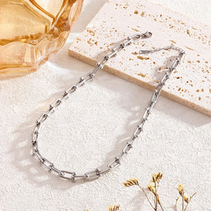 Thick Chain Jewelry Set